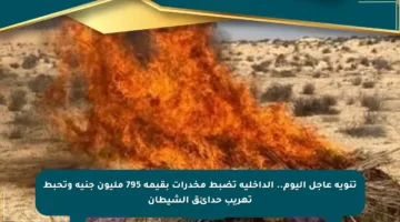 تنويه عاجل اليوم.. الداخلية تضبط مخدرات بقيمة 795 مليون جنيه وتحبط تهريب حدائق الشيطان